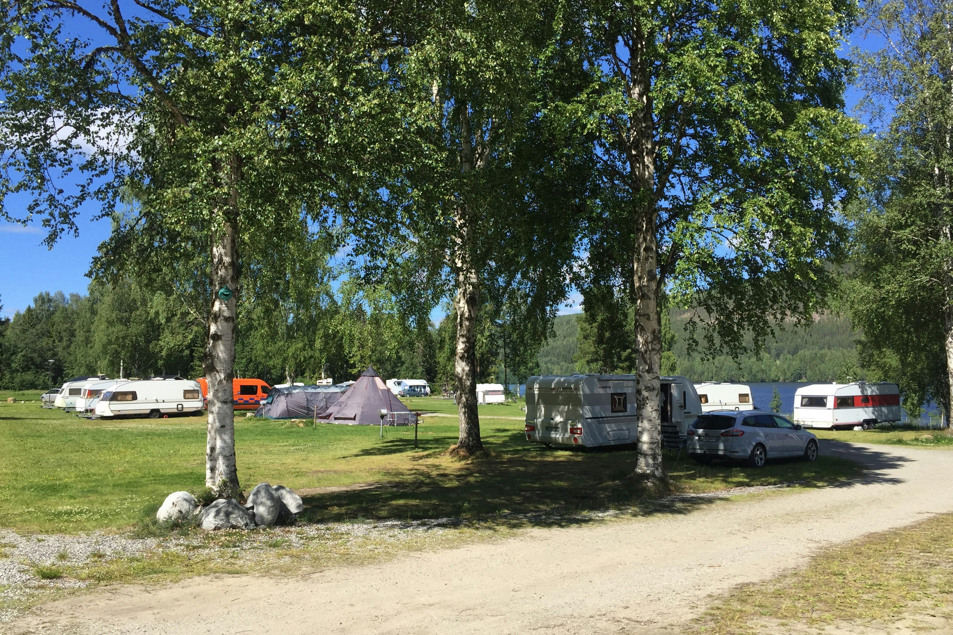 Hammarstrands Camping, Stugby och Fiske - Standplätze unter Bäumen und auf der Wiese