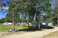 Hammarstrands Camping, Stugby och Fiske - Standplätze unter Bäumen und auf der Wiese