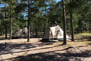 Zelte auf einem Campingplatz im Wald, mit Holzstegen und freiem Platz zwischen den Bäumen.