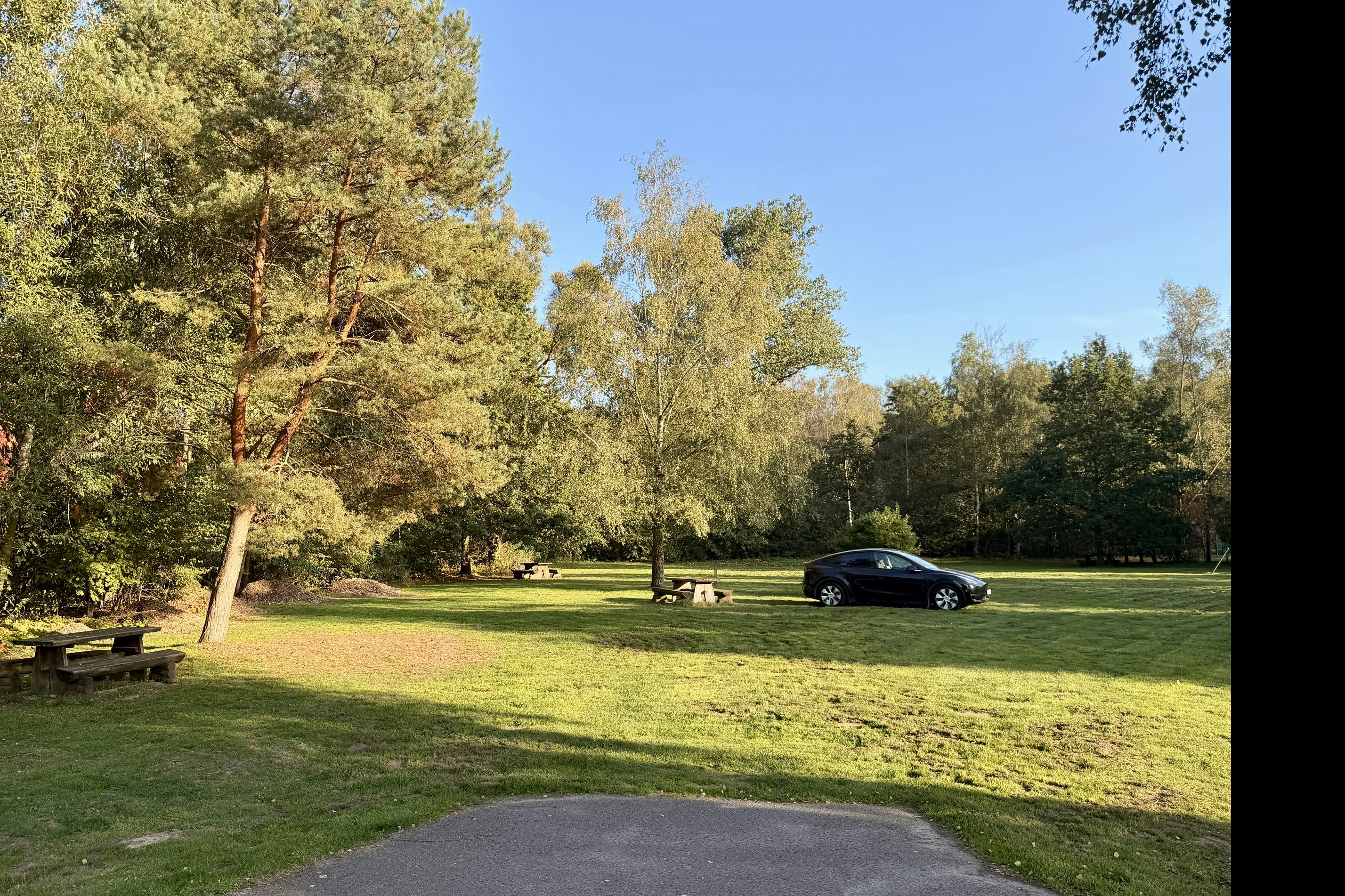 Grüner Campingplatz mit Rasenfläche, Baumreihe und einem geparkten Auto am Rand der Wiese.