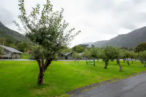 Grüner Campingplatz mit Obstbäumen, gepflastertem Weg und Blick auf Berge im Hintergrund.