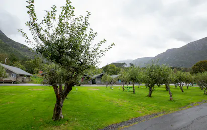 Mikkelparken Ferietun