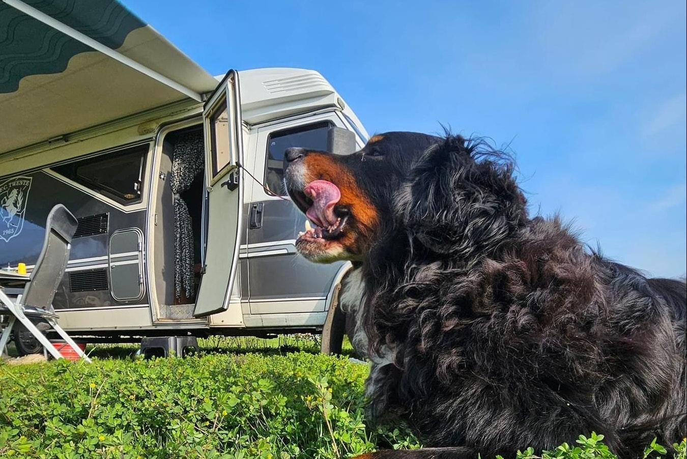 Harderwold Villa Resort - Camper mit Hund auf dem Campingplatz