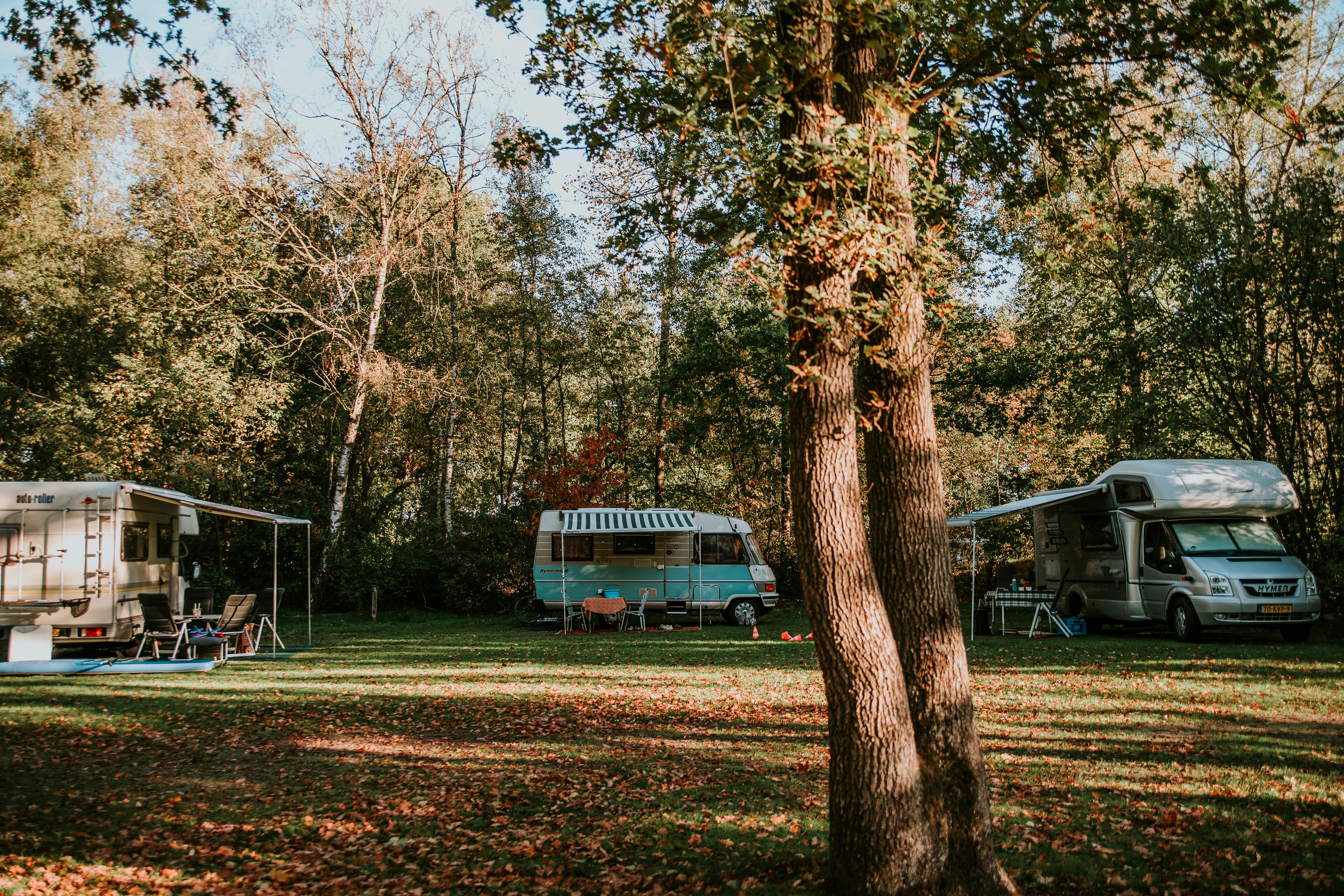 Charme Camping Hartje Groen  - Stellplätze auf dem Campingplatz