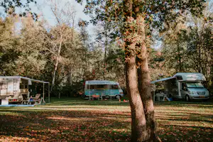Charme Camping Hartje Groen - Stellplätze auf dem Campingplatz