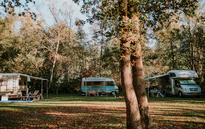 Charme Camping Hartje Groen