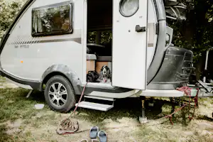 Harz-Camp Bremer Teich - Wohnmobil und Hund auf dem Campingplatz