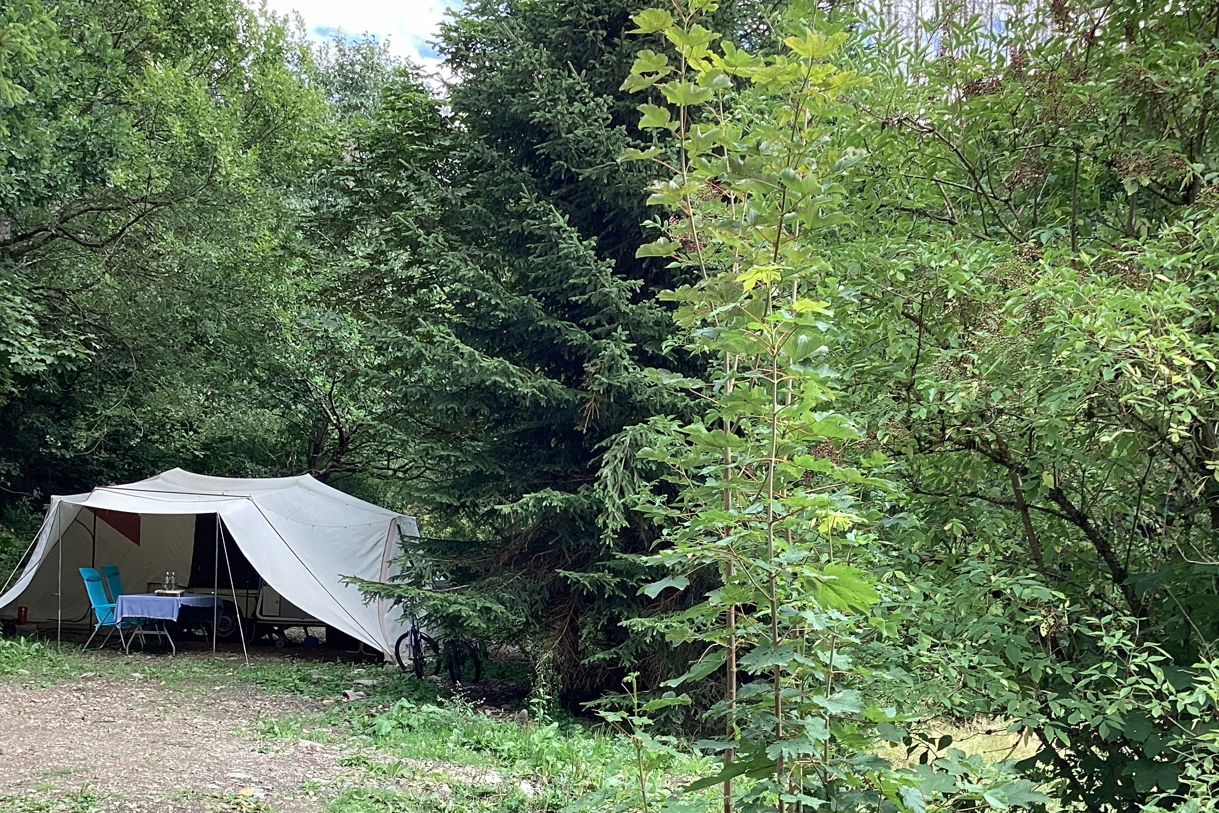 Harz Hideaway - Blick auf einen Stellplatz zwischen den Bäumen