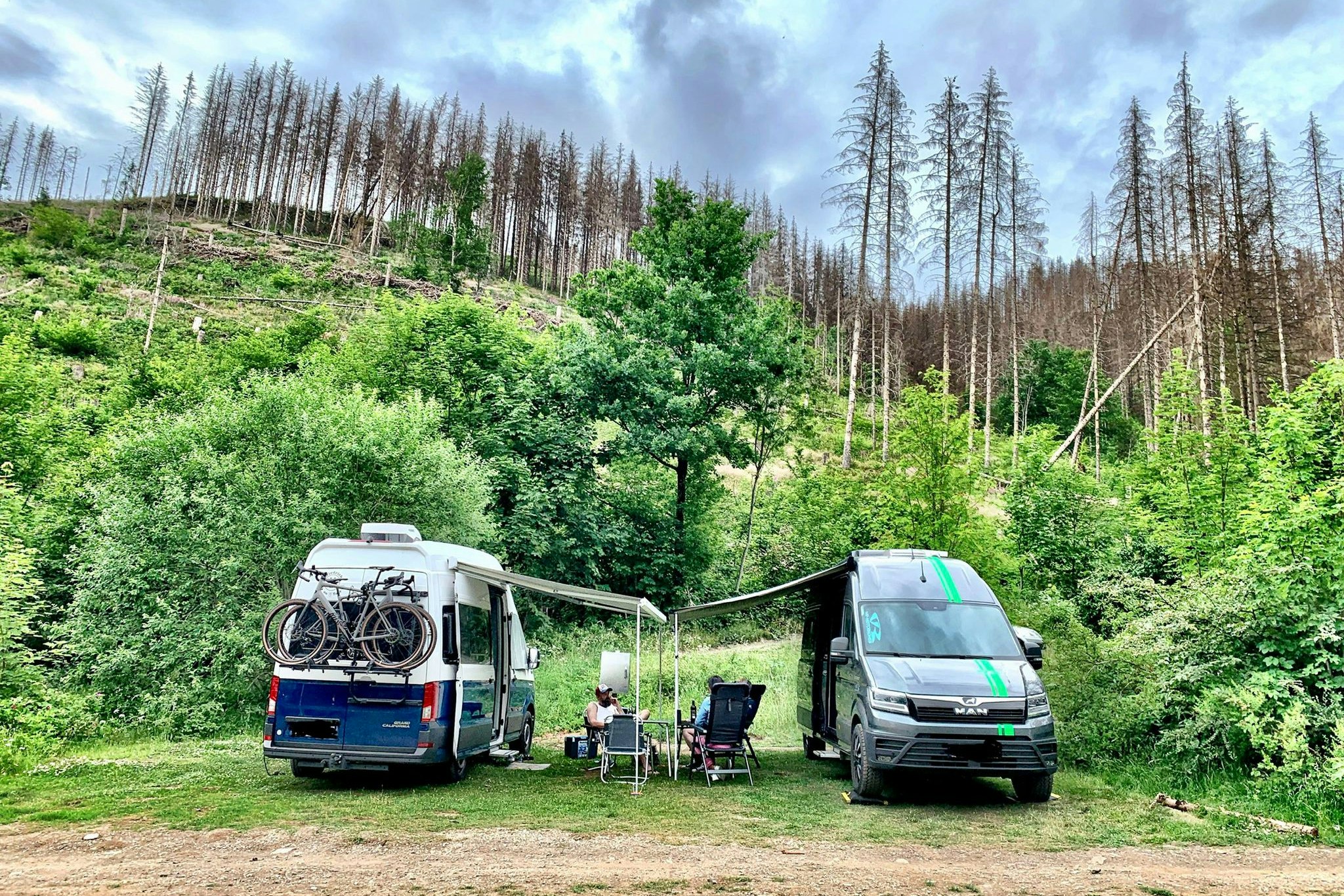 Harz Hideaway - Stellplätze im Grünen