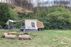 Campingzelt auf einer Wiese am Waldrand, mit Holzscheiten, Anhänger und Bäumen im Hintergrund.