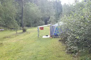 Campingzelt auf einem grasigen Stellplatz im Wald, mit Bäumen und Hecke am Rand.