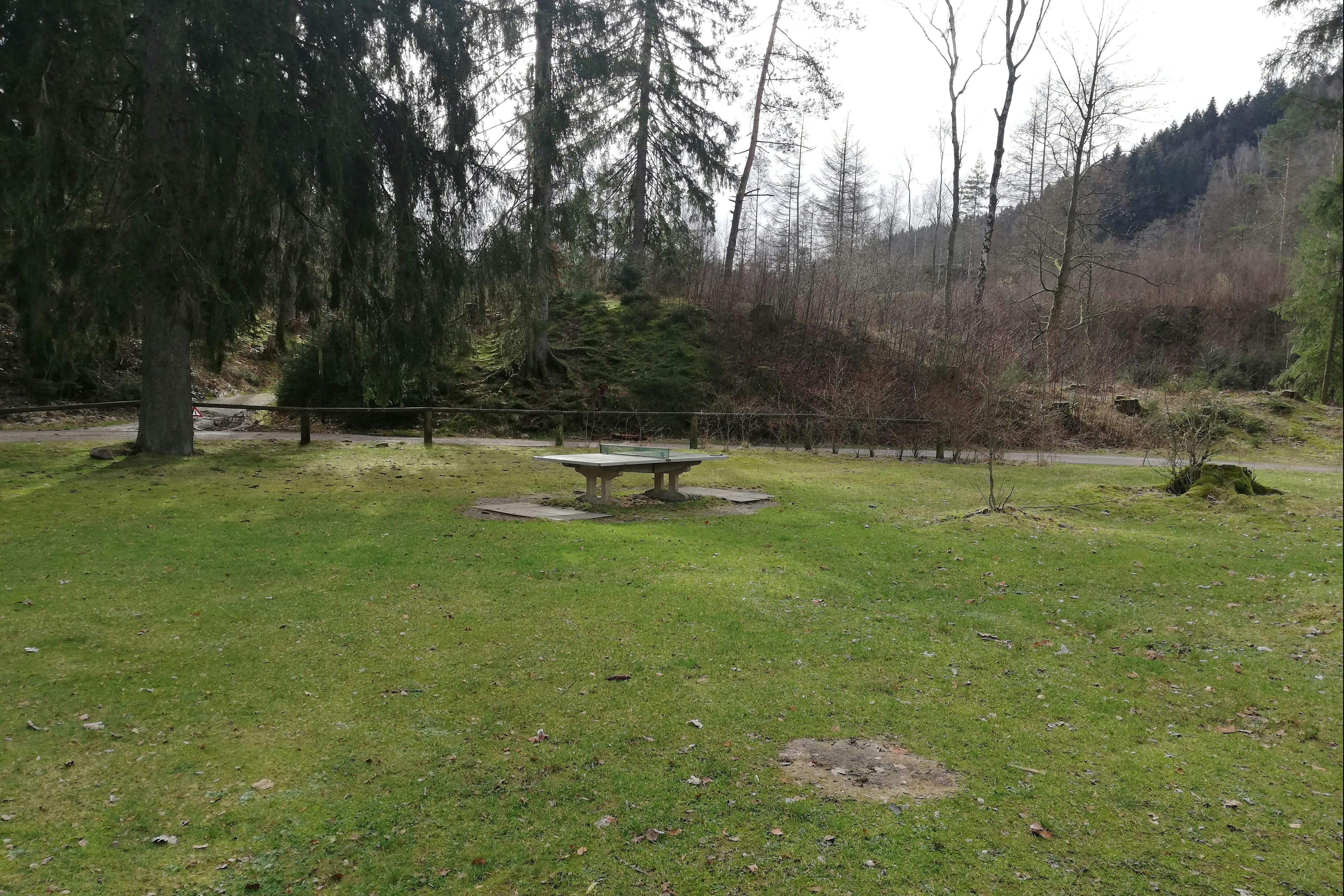 Harzklubs Wanderheim Wildemann - Lagerfeuerstelle auf dem Campingplatz