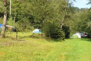 Campingwiese mit mehreren Zelten zwischen Bäumen, im Hintergrund weitere Wohnwagen und ein Weg.