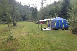 Buntes Campingzelt auf einer grünen Wiese im Wald, mit abgespannten Stangen und Zeltplane neben Bäumen.