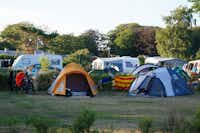 Hasle Camping & Hytter  Hasle Familiecamping  - Zeltwiese