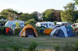 Mehrere Campingzelte auf einem Rasenplatz, im Hintergrund Wohnwagen und Bäume.