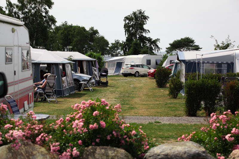 Hasle Camping & Hytter  Hasle Familiecamping - Wohnmobil- und  Wohnwagenstellplätze auf dem Campingplatz