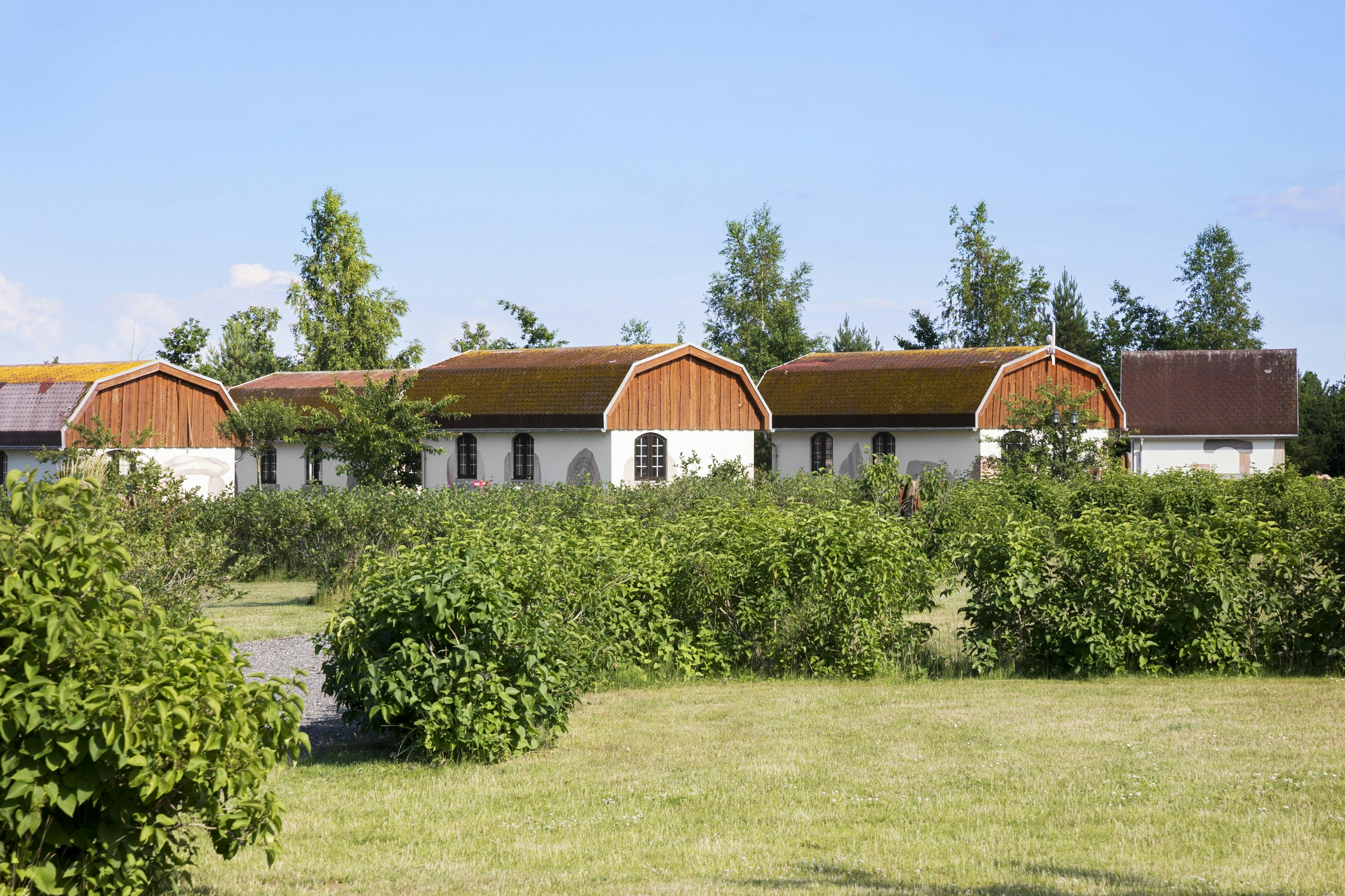 First Camp Hasmark Strand - Fyn