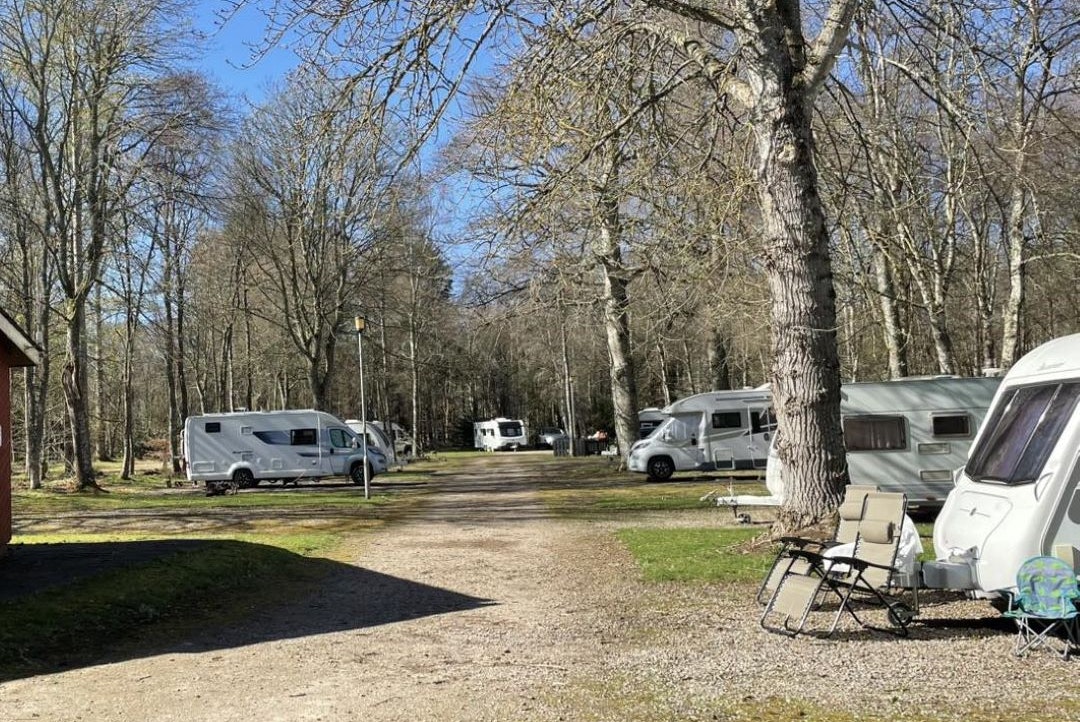 Haughton House Holiday Park - Standplätze zwischen den Bäumen auf dem Campingplatz