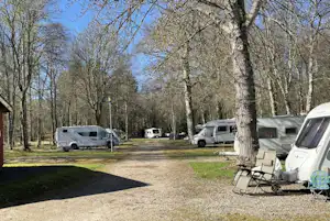 Stellplätze auf dem Campingplatz mit Wohnmobilen und einem Vorzelt, umgeben von Bäumen und Kieswegen.