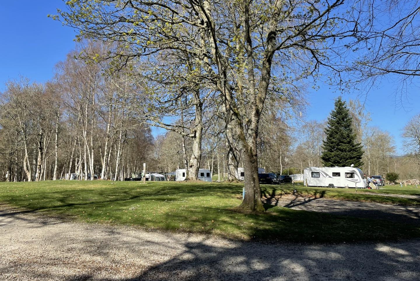 Haughton House Holiday Park - Wohnmobil- und Wohnwagenstandplätze auf der Wiese