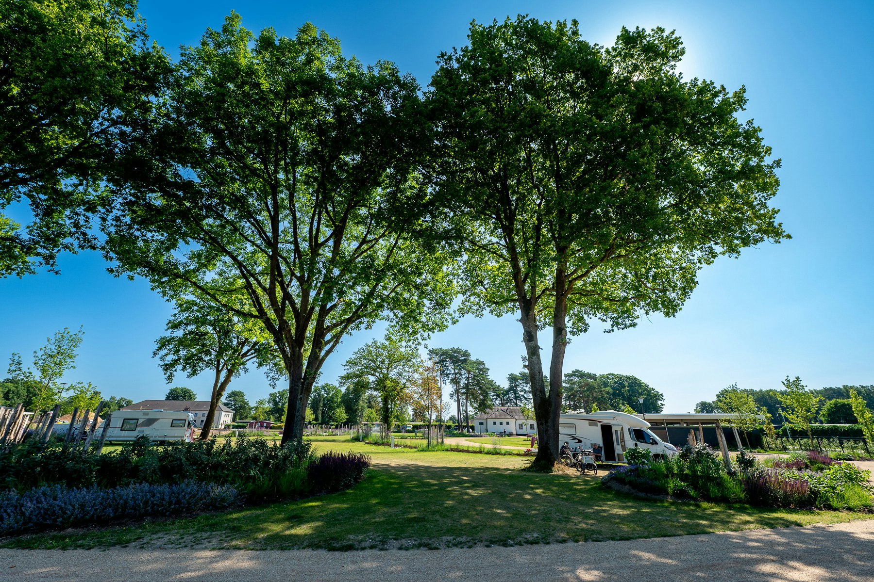 Heidecamp Brüggen - Standplätze zwischen den Bäumen auf dem Campingplatz