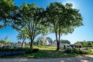 Heidecamp Brüggen - Standplätze zwischen den Bäumen auf dem Campingplatz