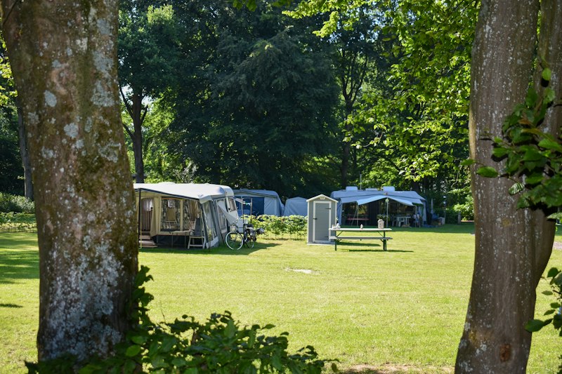Heidepark Veluwschkarakter (foto 1, bron: ANWB Camping)