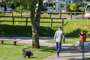 Mann mit Hund an der Leine auf einem Campingplatzweg, im Hintergrund Wohnmobile, Bäume und Holzzaun.