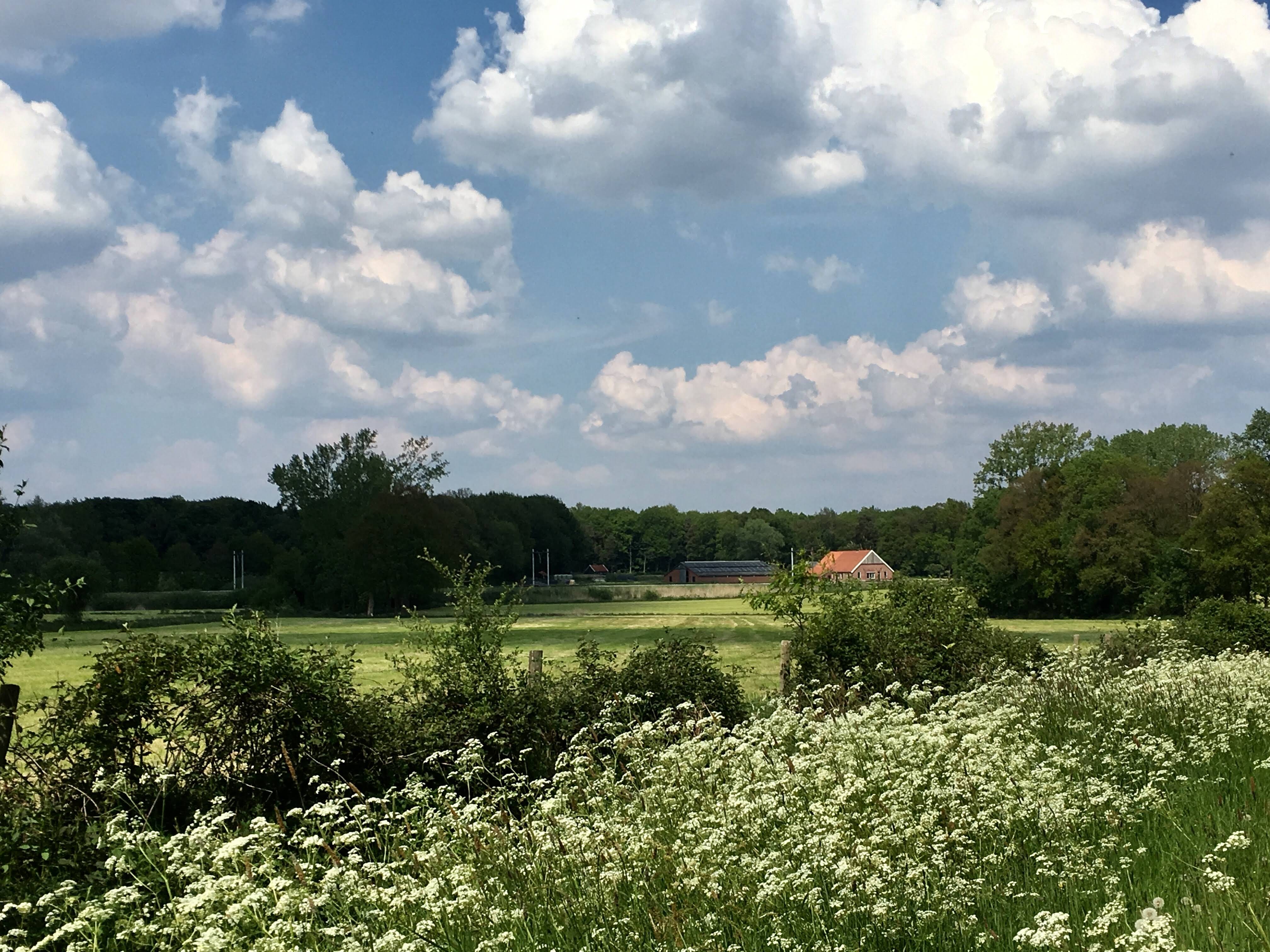 Het Buitenverblijf Erve Punte