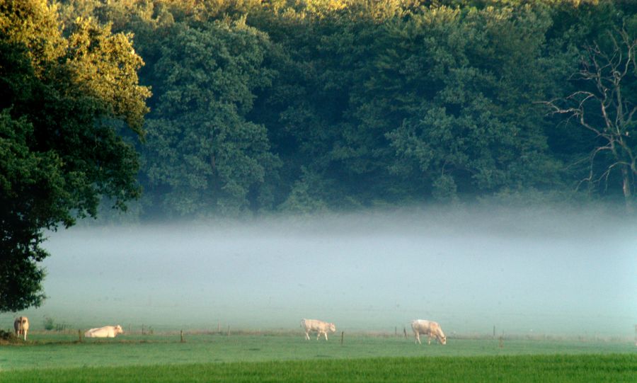 Het Buitenverblijf Erve Punte