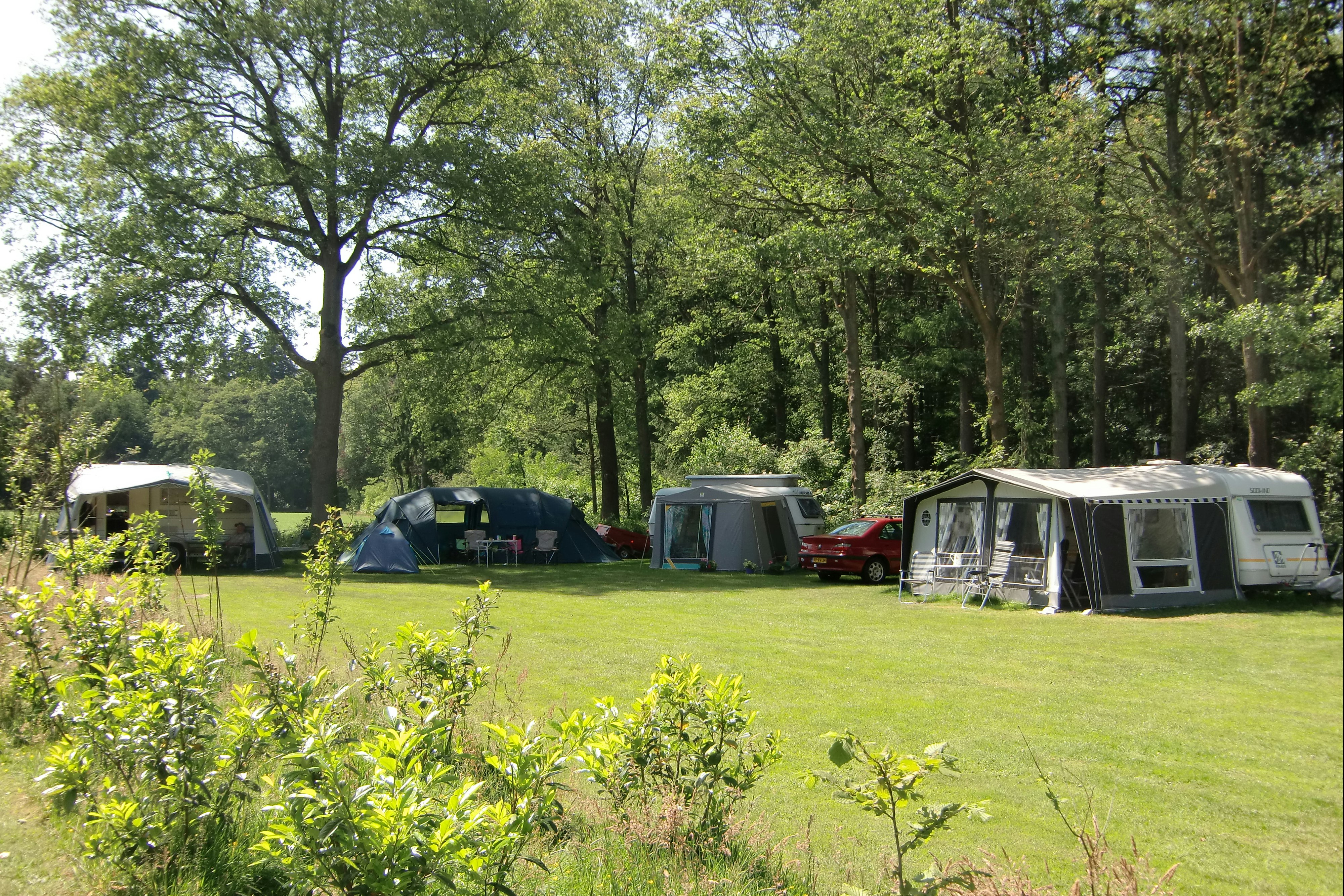 Het Buitenverblijf Erve Punte - Blick auf die Standplätze auf der Wiese
