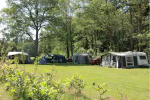Het Buitenverblijf Erve Punte - Blick auf die Standplätze auf der Wiese