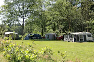 Het Buitenverblijf Erve Punte - Blick auf die Standplätze auf der Wiese