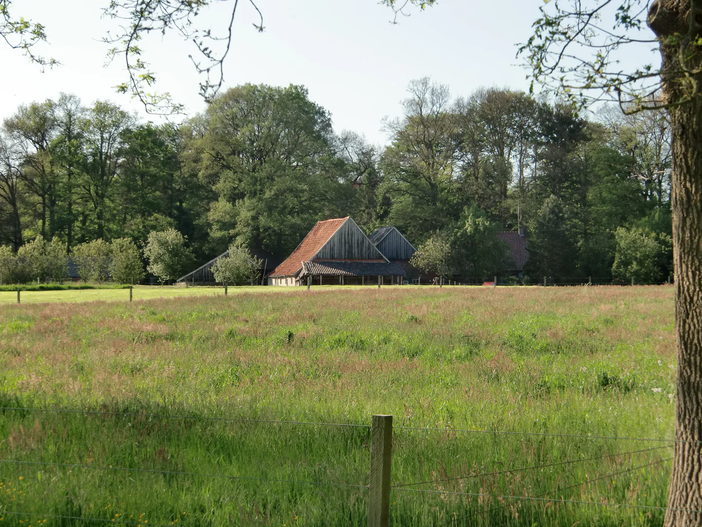 Het Buitenverblijf Erve Punte