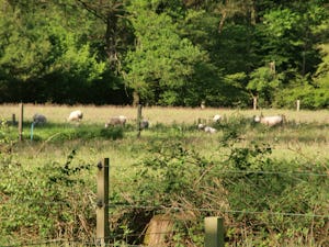 Het Buitenverblijf Erve Punte