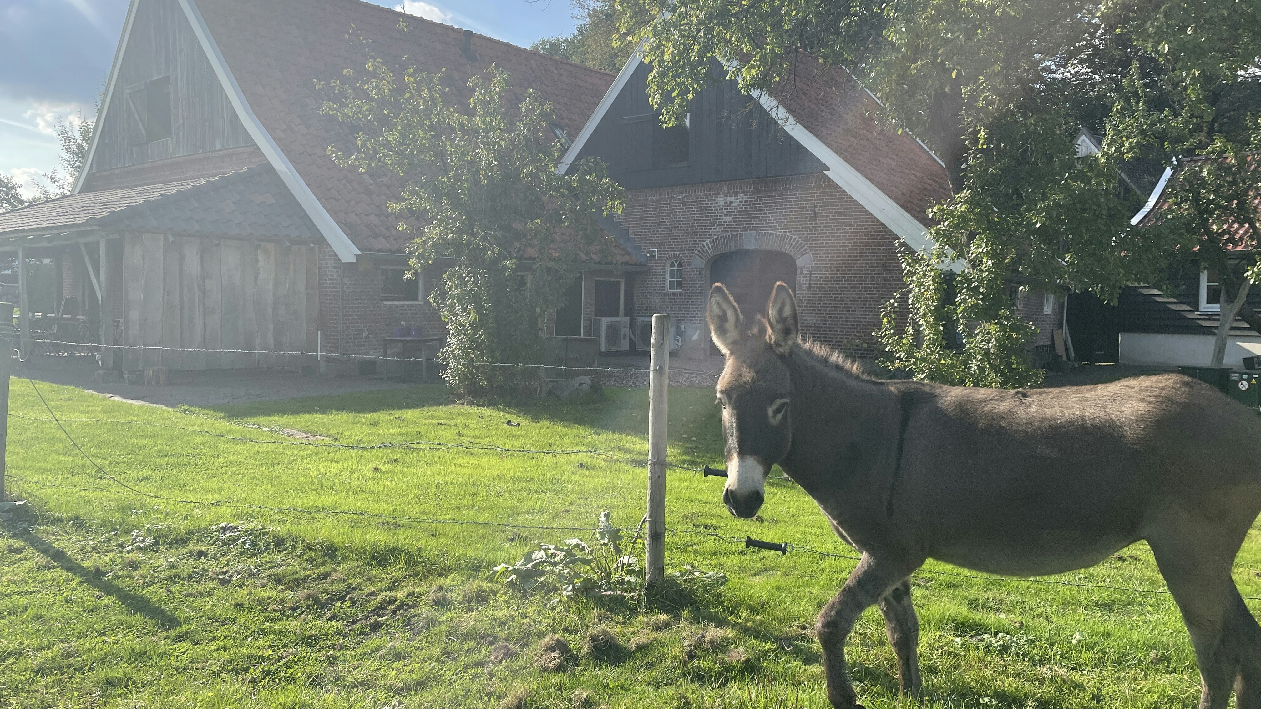 Het Buitenverblijf Erve Punte
