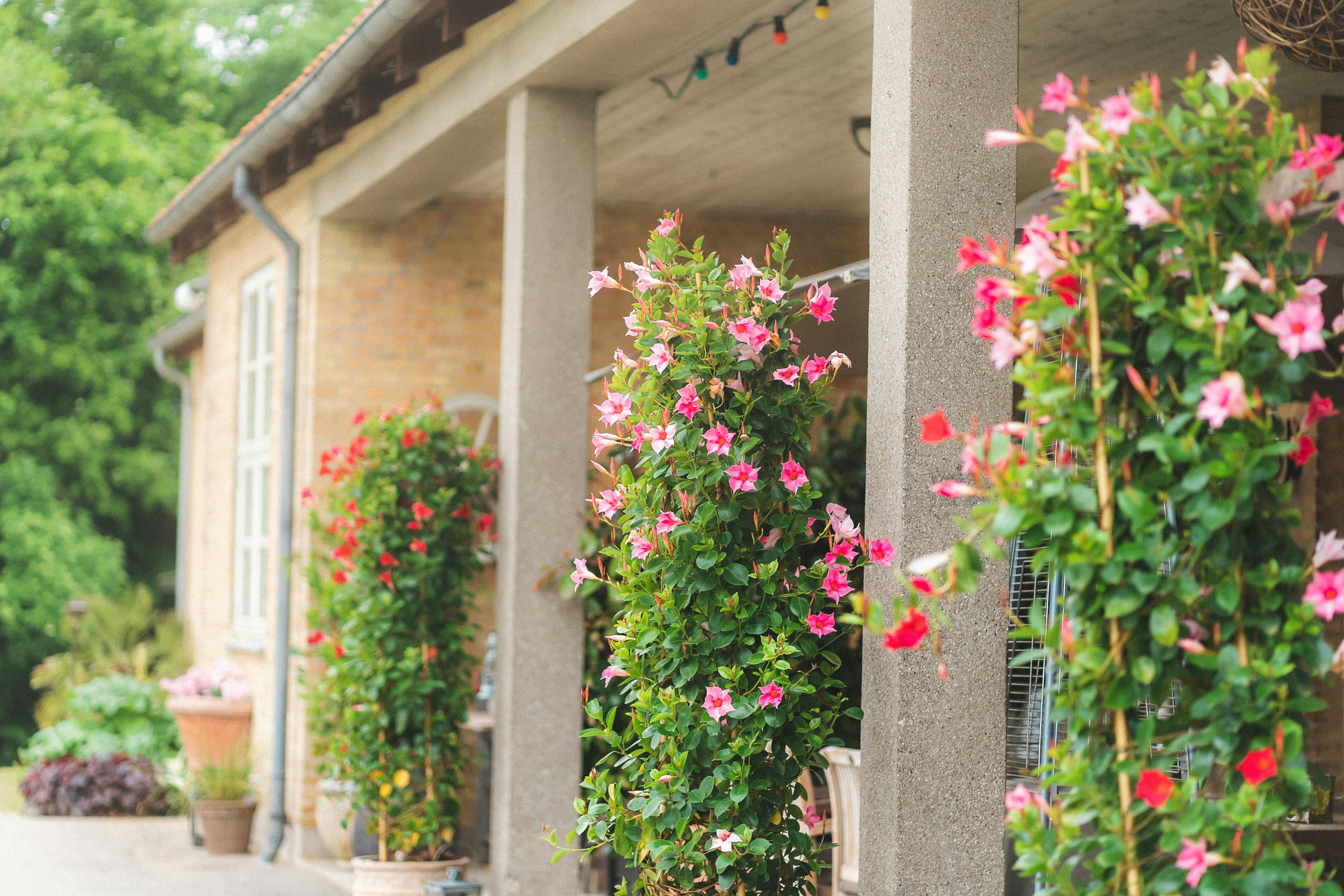 Hillerød Camping - Außenansicht des Servicegebäudes