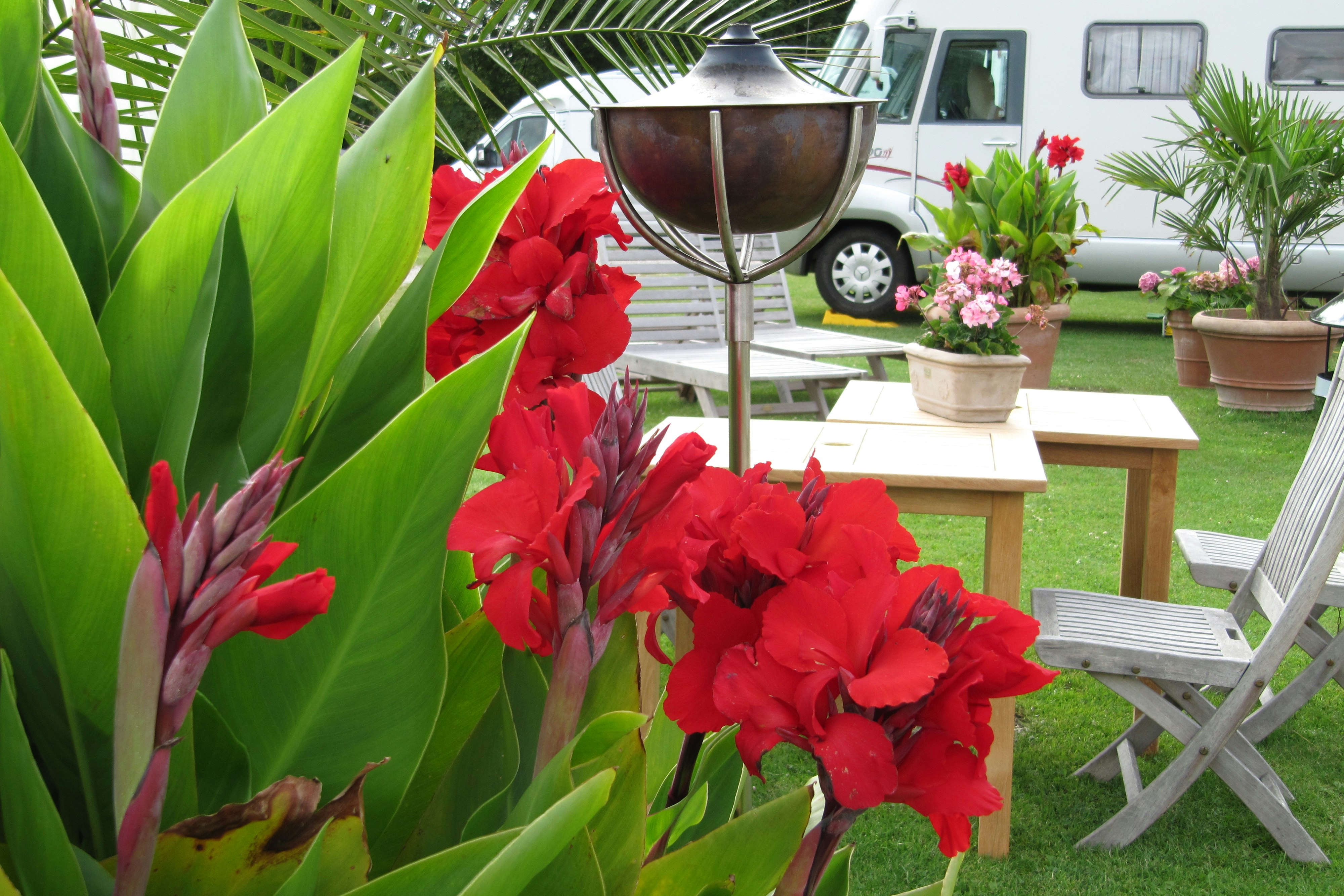 Hillerød Camping - Wohnmobil- und Wohnwagenstandplätze auf der Wiese