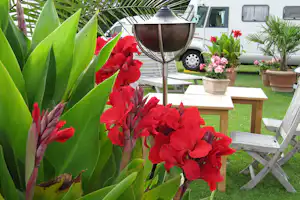 Hillerød Camping - Wohnmobil- und Wohnwagenstandplätze auf der Wiese