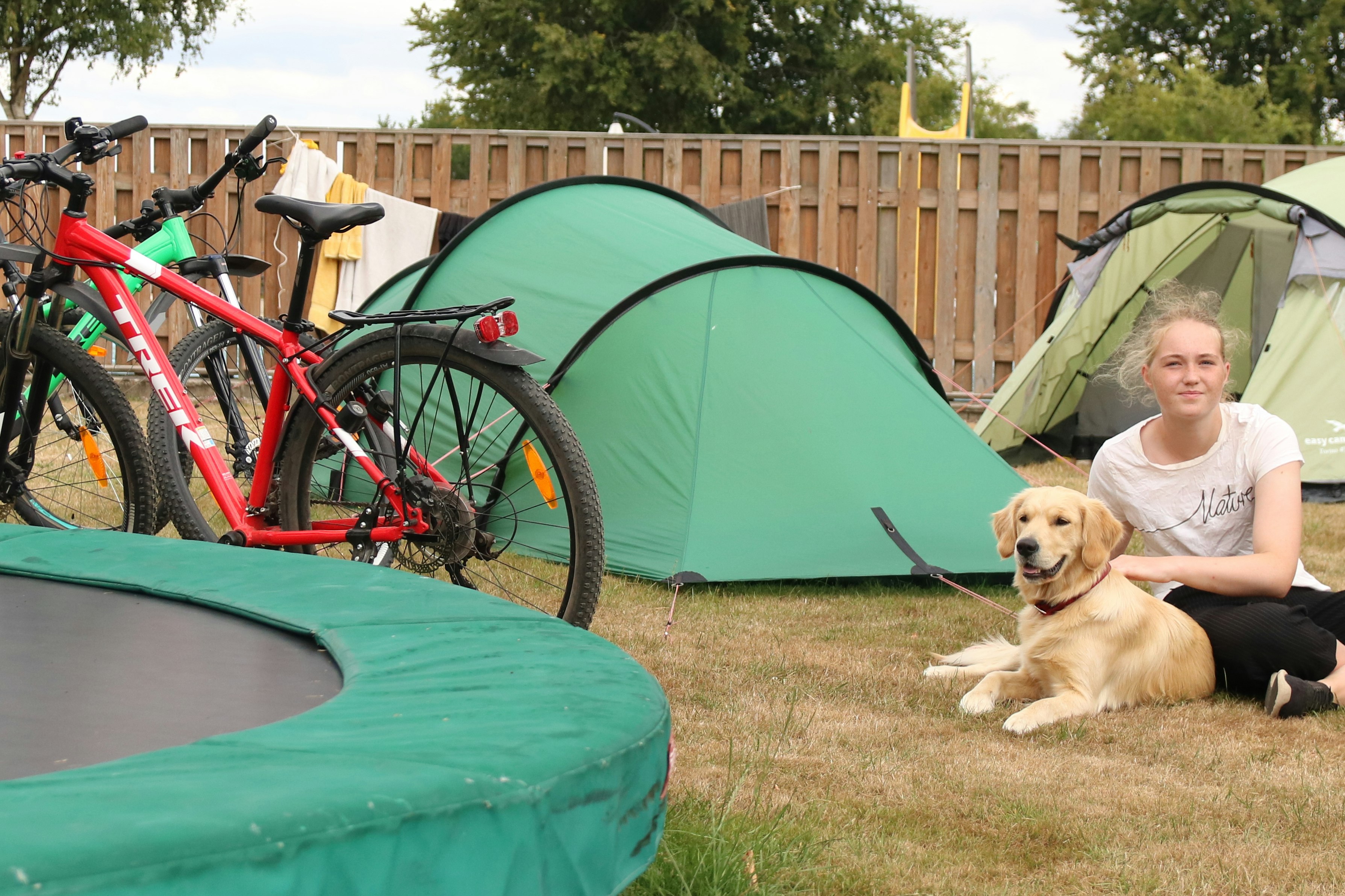 Hjarbæk Fjord Camping -  Camper und Zeltplatz  im Grünen auf dem Campingplatz