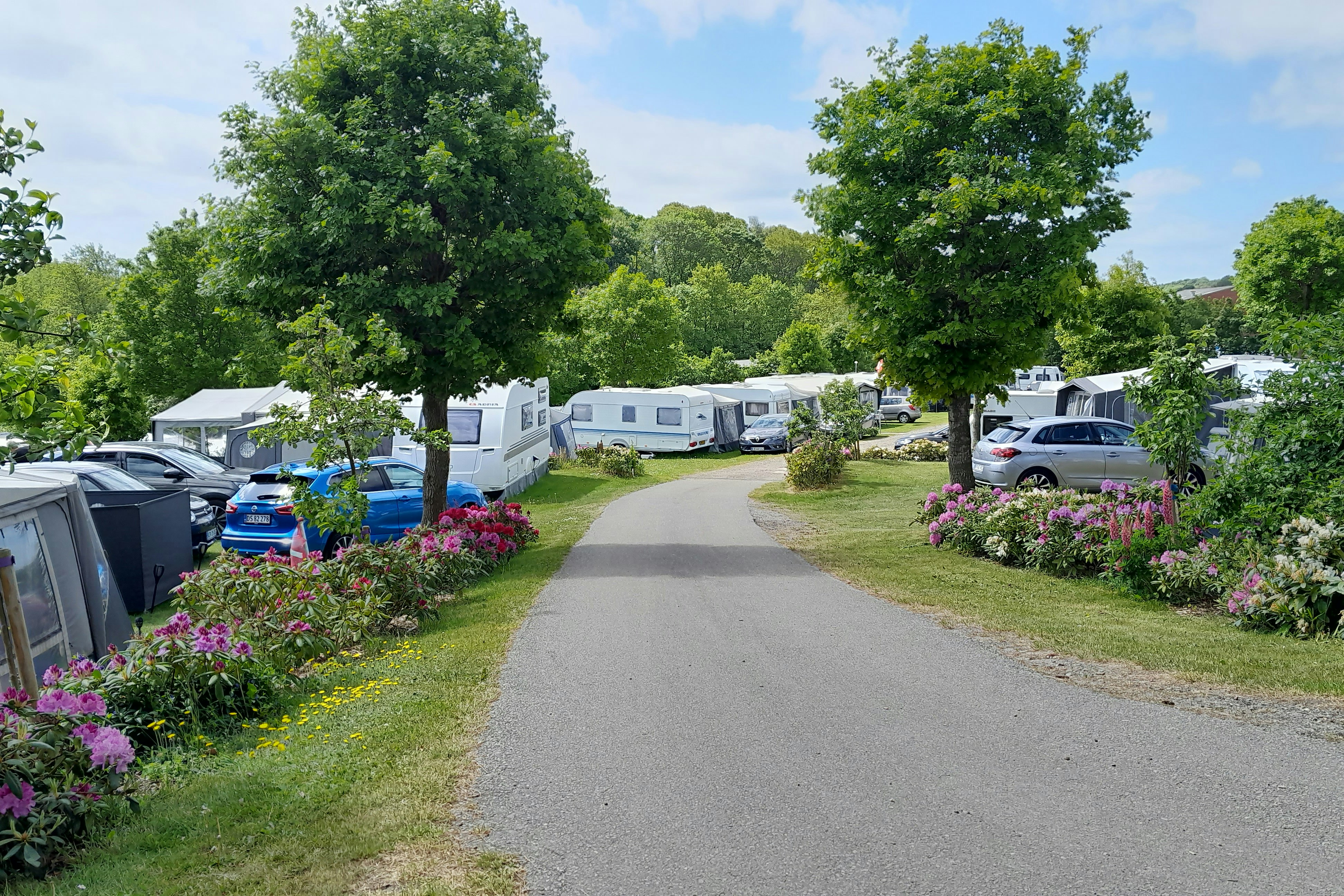 Hobro Camping Gattenborg