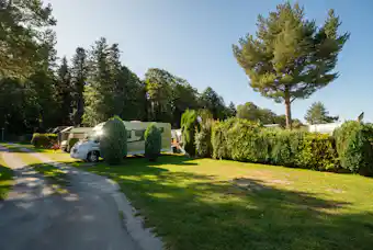 Höhen-Camping Langenbrand