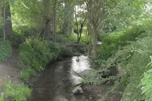 Hoeve de Gastmolen - Idyllische Natur in der Umgebung des Campingplatzes