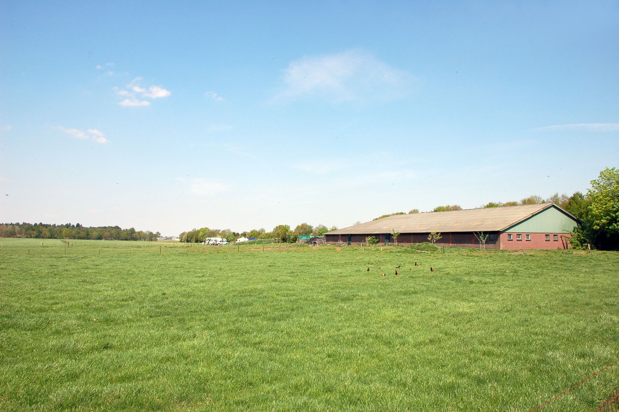 Hoeve de Maasduinen