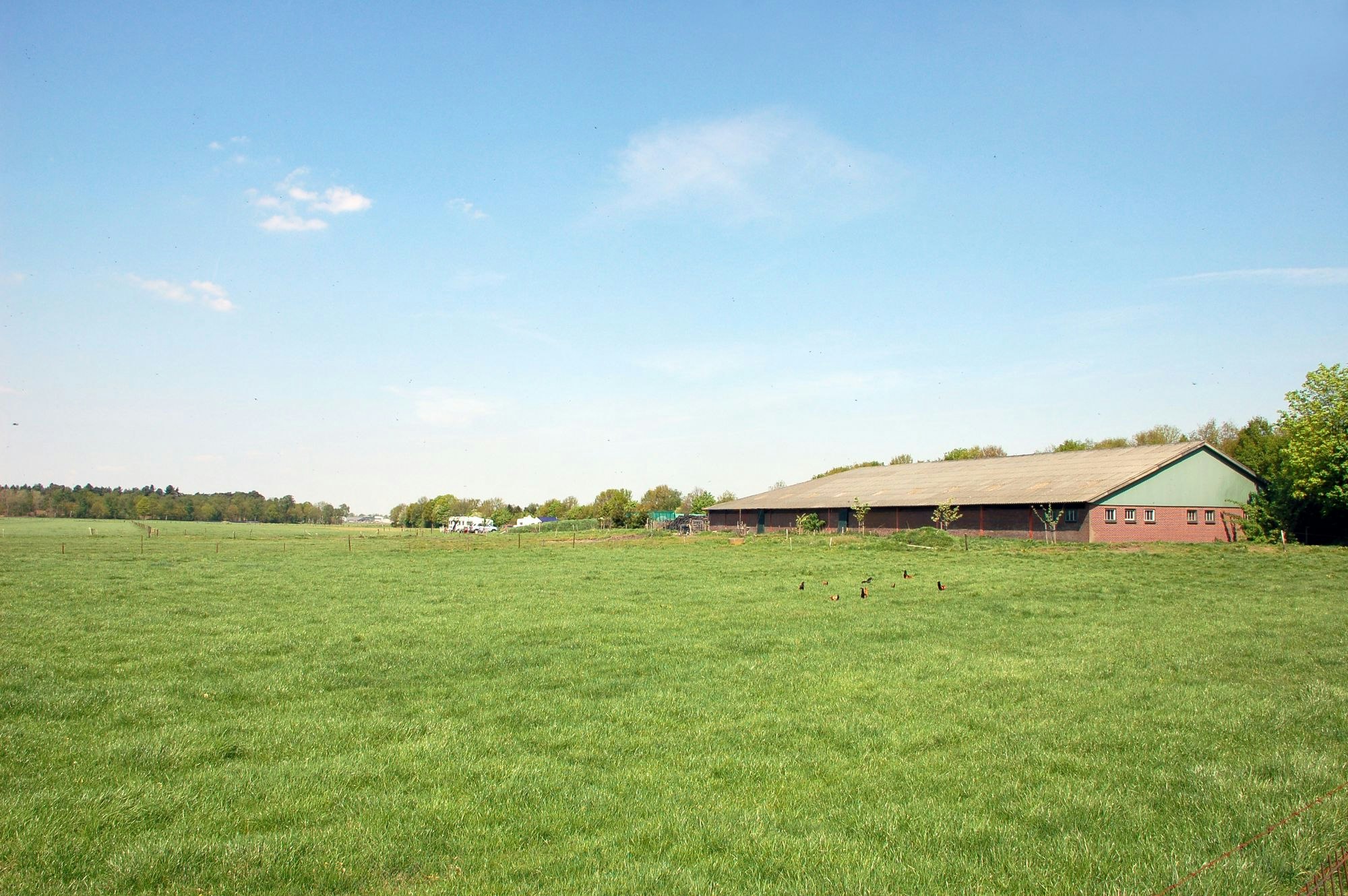 Minicamping Hoeve de Maasduinen
