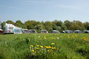 Minicamping Hoeve de Maasduinen