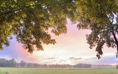 Hoeve de Maasduinen