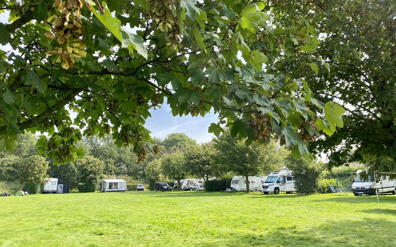 Minicamping Hoeve de Maasduinen