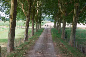 Hoeve Linnerveld - Fahrrad- und Spazierweg in der Umgebung des Campingplatzes